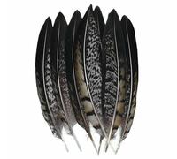 Piume di pavone, fagiano, piccole piume di aquila, piume di struzzo, decorazioni artigianali fai da te, accessori per gioielli, creazione all'ingrosso - 10-15 cm_g - 50 pezzi