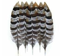 Piume di pavone, fagiano, piccole piume di aquila, piume di struzzo, decorazioni artigianali fai da te, accessori per gioielli, creazione all'ingrosso - 10-15 cm - 50 pezzi