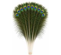 Piume Di Pavone Naturali Coda Bouquet Fai Da Te Decorazione Casa 10-100Pezzi