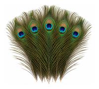 Piume Di Pavone Naturali Coda Bouquet Fai Da Te Decorazione Casa 10-100Pezzi