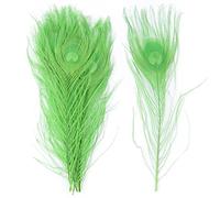Piume di pavone, Piume di pavone naturali multicolore 25-30 cm confezione da 10 o 20 pezzi(Apple Green,20PCS)