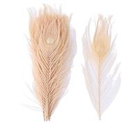 Piume di pavone, Piume di pavone naturali multicolore 25-30 cm confezione da 10 o 20 pezzi(Champagne,20PCS)
