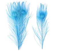 Piume di pavone, Piume di pavone naturali multicolore 25-30 cm confezione da 10 o 20 pezzi(Lake Blue,10PCS)