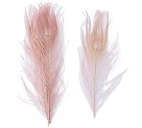 Piume di pavone, Piume di pavone naturali multicolore 25-30 cm confezione da 10 o 20 pezzi(Leather Pink,20PCS)