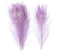 Piume di pavone, Piume di pavone naturali multicolore 25-30 cm confezione da 10 o 20 pezzi(Light Purple,20PCS)