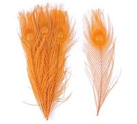Piume di pavone, Piume di pavone naturali multicolore 25-30 cm confezione da 10 o 20 pezzi(Orange,10PCS)