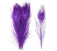 Piume di pavone, Piume di pavone naturali multicolore 25-30 cm confezione da 10 o 20 pezzi(Purple,20PCS)