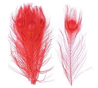 Piume di pavone, Piume di pavone naturali multicolore 25-30 cm confezione da 10 o 20 pezzi(Red,10PCS)