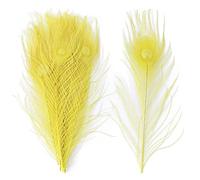 Piume di pavone, Piume di pavone naturali multicolore 25-30 cm confezione da 10 o 20 pezzi(Yellow,20PCS)