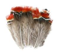 Piume di pollo di pavone, fagiano e pollo naturali all'ingrosso, sfuse, 3-15 cm, per gioielli fai da te, orecchini, matrimoni, acchiappasogni, piume, decorazioni - 3-10 cm_b-100 pe