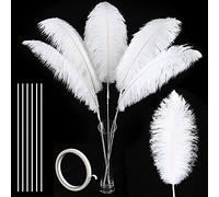 Piume di struzzo grandi bianche, kit da 10 pezzi, 86,4 cm, extra large, piume di struzzo lunghe per vasi alti, composizioni floreali, centrotavola per feste di Natale e decorazioni per la casa di