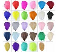 Piume di struzzo rosa per feste di carnevale, artigianato, creazione di piume decorative, accessori per vasi da tavolo per matrimoni, 10 pezzi/lotto, colore personalizzato, 50-55 cm, 20-22 pollici