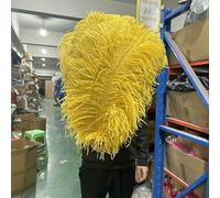 Piume di struzzo rosa per feste di carnevale, artigianato, piume decorative, accessori per tavoli da matrimonio, vasi, 10 pezzi/lotto, oro, 50-55 cm, 20-22 pollici