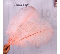 Piume Di Struzzo Tinte Per Centrotavola Decorativo Per Feste E Banchetti