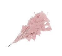 Piume di tacchino naturali piume di coda piume di tacchino piume per vari copricapo fai da te matrimonio compleanno festival decorazione casa festa [rosa]