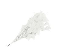 Piume di tacchino naturali piume di coda piume di tacchino piume per vari copricapo fai da te matrimonio compleanno festival decorazione casa festa [bianco]
