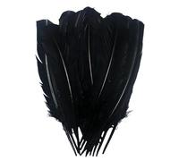Piume di tacchino nere, piume naturali grandi e lunghe, 25-30 cm, piume bilaterali di grandi dimensioni, ali sinistra e destra per artigianato, 24 pezzi sfusi (tacchino nero)