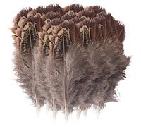 Piume di tacchino, piume naturali per fai da te, lunghezza 5-8 cm, piume di coda di tacchino, per costumi, fai da te