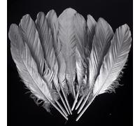 Piume d'oca naturali, 15-20 cm, 50 pezzi, argentate, per decorazioni fai da te, matrimoni, ali d'angelo e artigianato fatato