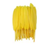 Piume d'oca naturali da 10-15 cm per artigianato, 50 pezzi, accessori per gioielli, decorazioni, piume tinte, verde menta, decorazioni all'ingrosso-oro