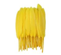 Piume d'oca naturali da 10-15 cm per artigianato, 50 pezzi, accessori per gioielli, decorazioni, piume tinte, verde menta, decorazione - oro
