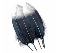 Piume d'oca naturali dure per acchiappasogni, piume nere e dorate, accessori per gioielli, decorazioni fai da te, Plumas-A01-50 pezzi