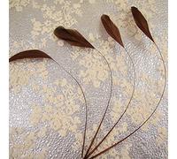 Piume in 69 colorazioni diverse, piume sciolte da 12 a 17 cm per cappelli di modisteria, decorazioni, moda, composizioni artistiche e realizzazioni di costumi 10 pezzi Coffee #25