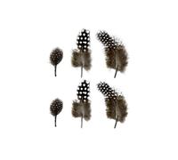 Piume naturali 2 a 6 cm - 6 g