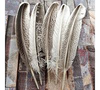 Piume naturali di coda di tacchino selvatico da 22-30 cm, selezione di dimensioni per decorazione natalizia per matrimoni [26-30 cm]