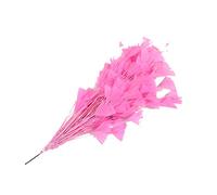 Piume naturali di tacchino, piume di coda, piume di tacchino per vari copricapi fai da te, matrimoni, compleanni, festival, decorazione per la casa e feste [rosa scuro]