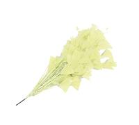 Piume naturali di tacchino, piume di coda, piume di tacchino per vari copricapi fai da te, matrimoni, compleanni, festival, decorazione per la casa [giallo chiaro]