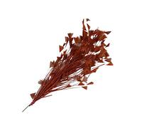Piume naturali di tacchino, piume di coda, piume di tacchino, per vari copricapi fai da te, matrimoni, compleanni, festival, decorazione per la casa e le feste [marrone]