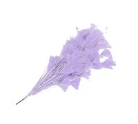 Piume naturali di tacchino, piume di coda, piume di tacchino per vari copricapi fai da te, matrimoni, compleanni, festival, decorazione per la casa [viola chiaro]