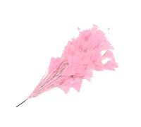 Piume naturali di tacchino, piume di coda, piume di tacchino per vari copricapi fai da te, matrimoni, compleanni, festival, decorazione per la casa e le feste [rosa chiaro]