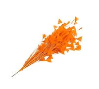 Piume naturali di tacchino, piume di coda, piume di tacchino per vari copricapi fai da te, matrimoni, compleanni, festival, decorazioni per la casa [arancione]