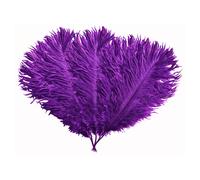 Piume Struzzo Fly 35-60cm Naturale Arti Manuali Decor Costume Festa UK 5-10pcs