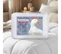 Piumino d'Oca "STREAM 500 gr." - 80% Piuma d'Oca e 20% Piumino - Imbottitura Invernale Morbida, Ideale per le Notti più Fredde - singolo 1 piazza Cm. 155X200