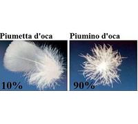 PIUMINO GABEL 100% PIUMA D'OCA MATRIMONIALE 90/10 NOTTETEMPO