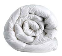 Piumino Interno Matrimoniale 300gr Trapuntato Bianco
