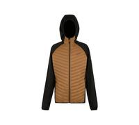 Piumino Regatta Andreson Marron 2XL