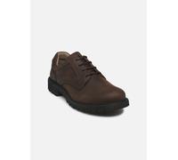 Pius Gabor - CORKY Marrone - Scarpe con lacci 40 Marrone