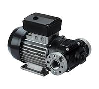 PIUSI Elettropompa a Palette per Travaso Gasolio, Facile da Usare, Lunga durata, Portata 70 l/min, Alimentazione 230V/50Hz, Connessioni 1" BSP | E80 000305000