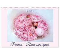 Pivoines - Roses sans épines (Calendrier mural 2026 DIN A3 vertical), CALVENDO calendrier mensuel: Les roses du printemps magnifiquement présentées