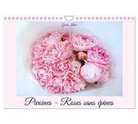 Pivoines - Roses sans épines (Calendrier mural 2027 DIN A4 vertical), CALVENDO calendrier mensuel: Les roses du printemps magnifiquement présentées