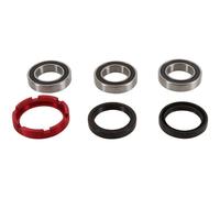 PIVOT WORKS Kit cuscinetti e guarnizioni ruota posteriore