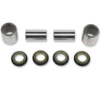 PIVOT WORKS PWSAK-K01-521 KIT CUSCINETTI FORCELLONE KAWASAKI KLX 300 R 2007
