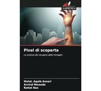 Pixel di scoperta: La scienza del recupero delle immagini