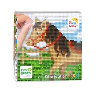 PIXEL- Quadro Creare 12 x 12 cm Cavallo al Prato, Colore Colorati, Taglia Unica, PX44016