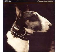 PIXIES HERE COMES THE MAN 12" VINYL