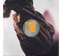 Pixies The Night the Zombies Came (Vinyl LP) 12" Album (PRESALE 25/10/2024)